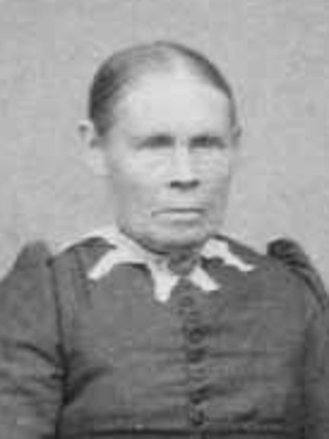 Martha McKinney Frost (1825 - 1902) Profile